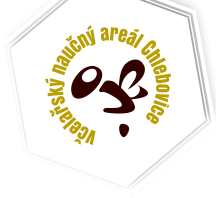 Primary Raster logo